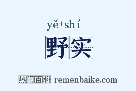野实是什么意思的图片